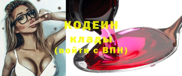 прущий лед Дмитриев