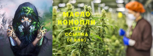 дмт Дмитровск